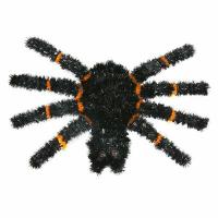 48cm Halloween Wall and Door Decoration - Spider